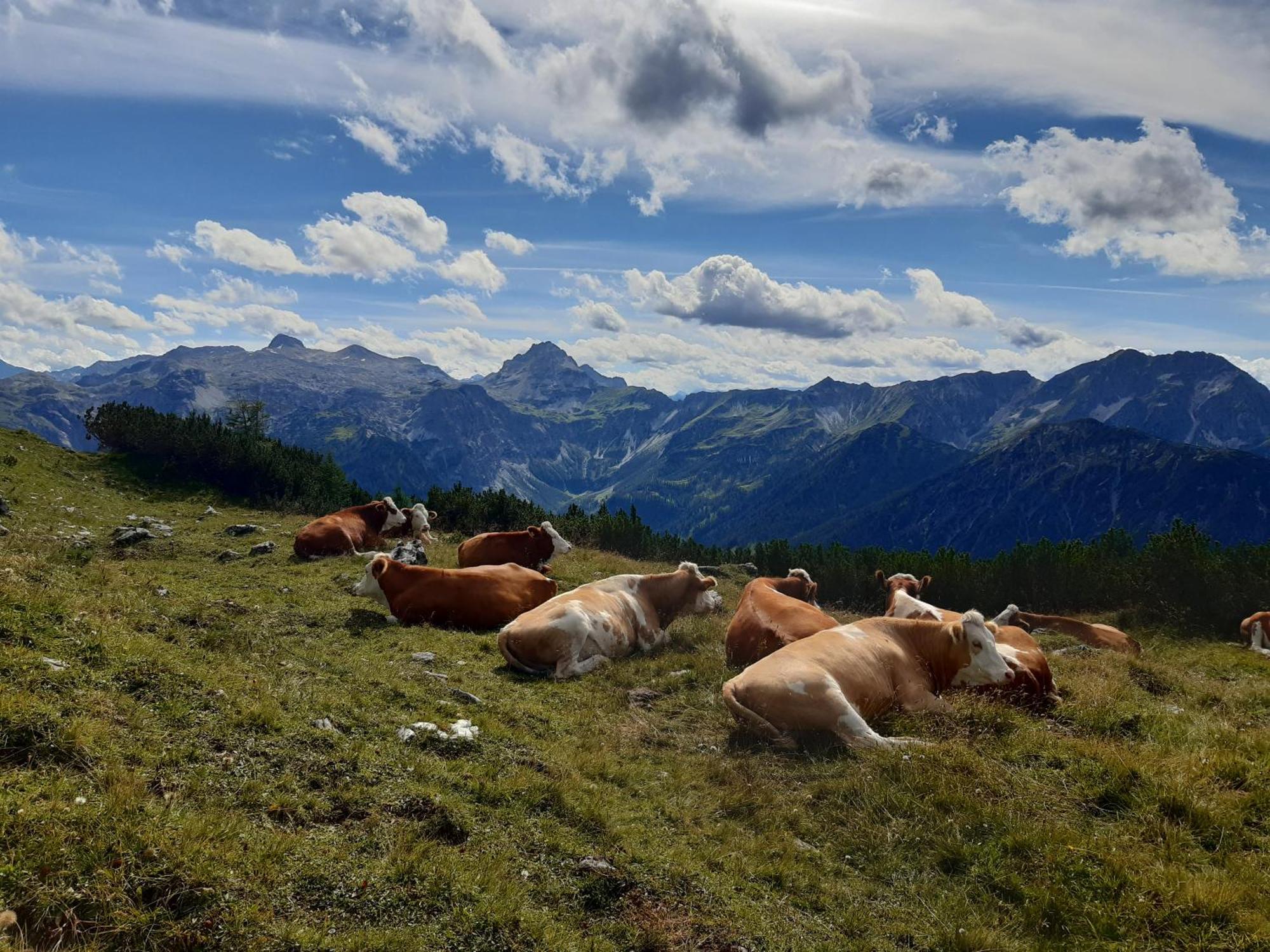 Farm stay Ransburggut *