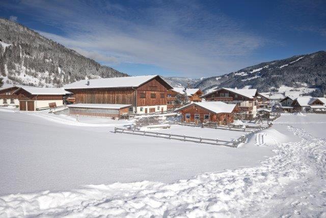 Ransburggut Flachau